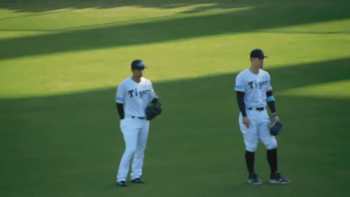 【新布陣か】試合前シートノック 森下レフト 佐藤がライトへ ドラ1最強外野トリオ結成 【新布陣か】試合前シートノック 森下レフト 佐藤がライトへ ドラ1最強外野トリオ結成