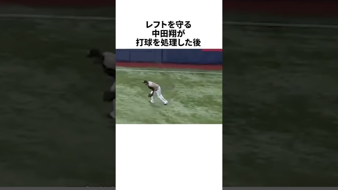 中田翔が仕掛けたとんでもないトリックに全員が騙された #野球 #プロ野球 #野球雑学