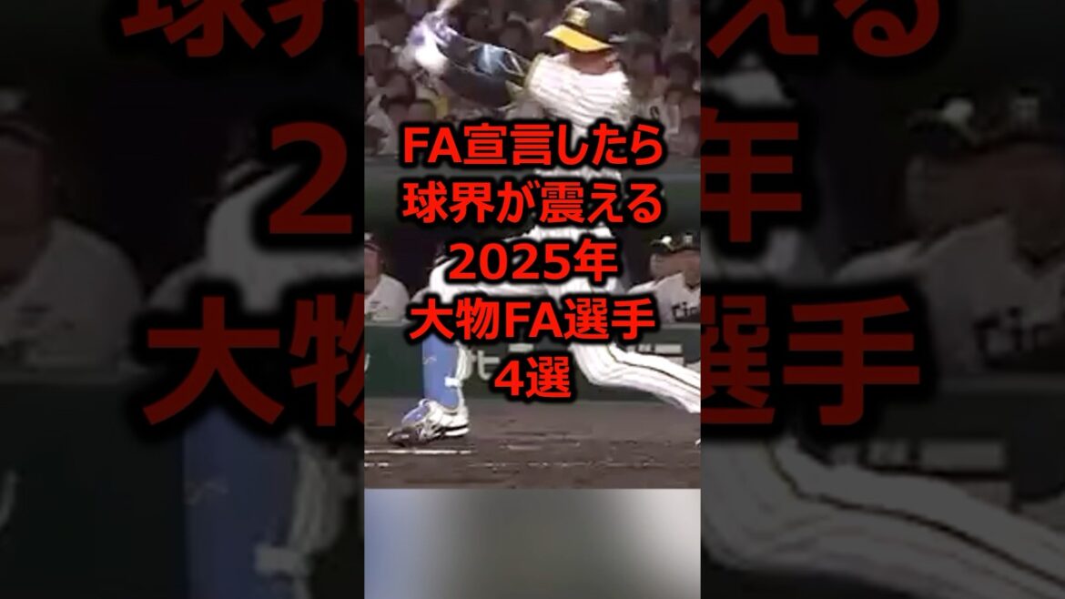 FA宣言したら球界が震える2025年大物FA選手4選 #プロ野球 #野球 #阪神タイガース