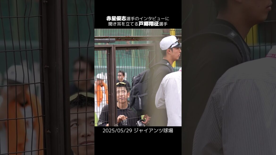 【巨人】赤星優志選手のインタビューに聞き耳を立てる戸郷翔征選手 #shorts #baseball #sports #ジャイアンツ #巨人 #プロ野球