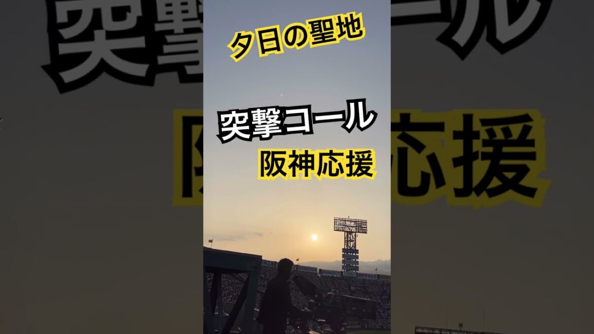 #阪神タイガース #阪神応援 #shorts #阪神甲子園球場 #hanshintigers #甲子園 #阪神応援歌 #阪神 #野球 #hanshin #野球応援