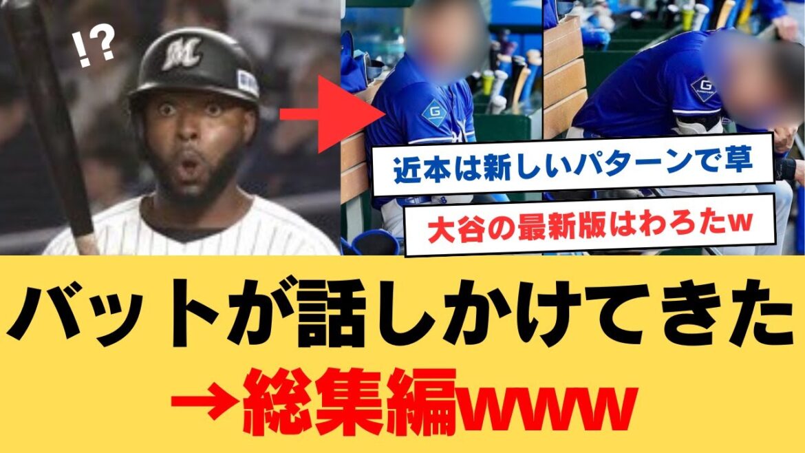 「バットが話しかけてきたシリーズ」総集編がコチラwww【ネットの反応】