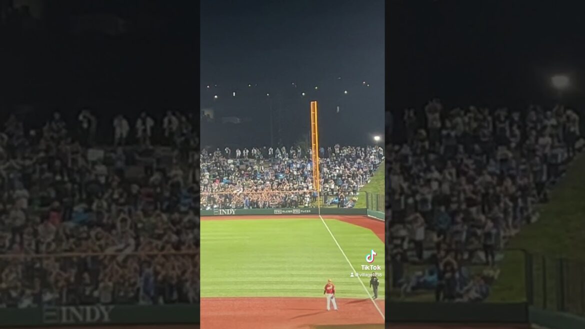 埼玉西武ライオンズ 応援風景【炭谷銀仁朗】（2025年5月20日）