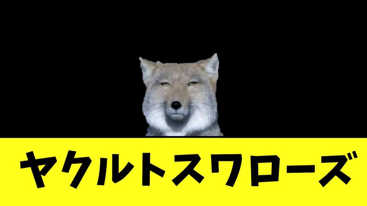 ヤクルトスワローズ ヤクルトスワローズ