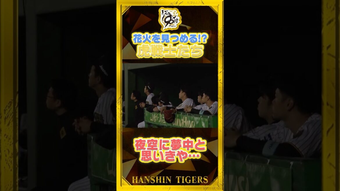 【目と目が合う】倉敷の夜空を彩った花火に夢中の虎選手達・・・の中1人しっかりカメラを発見した#榮枝裕貴 選手#shorts