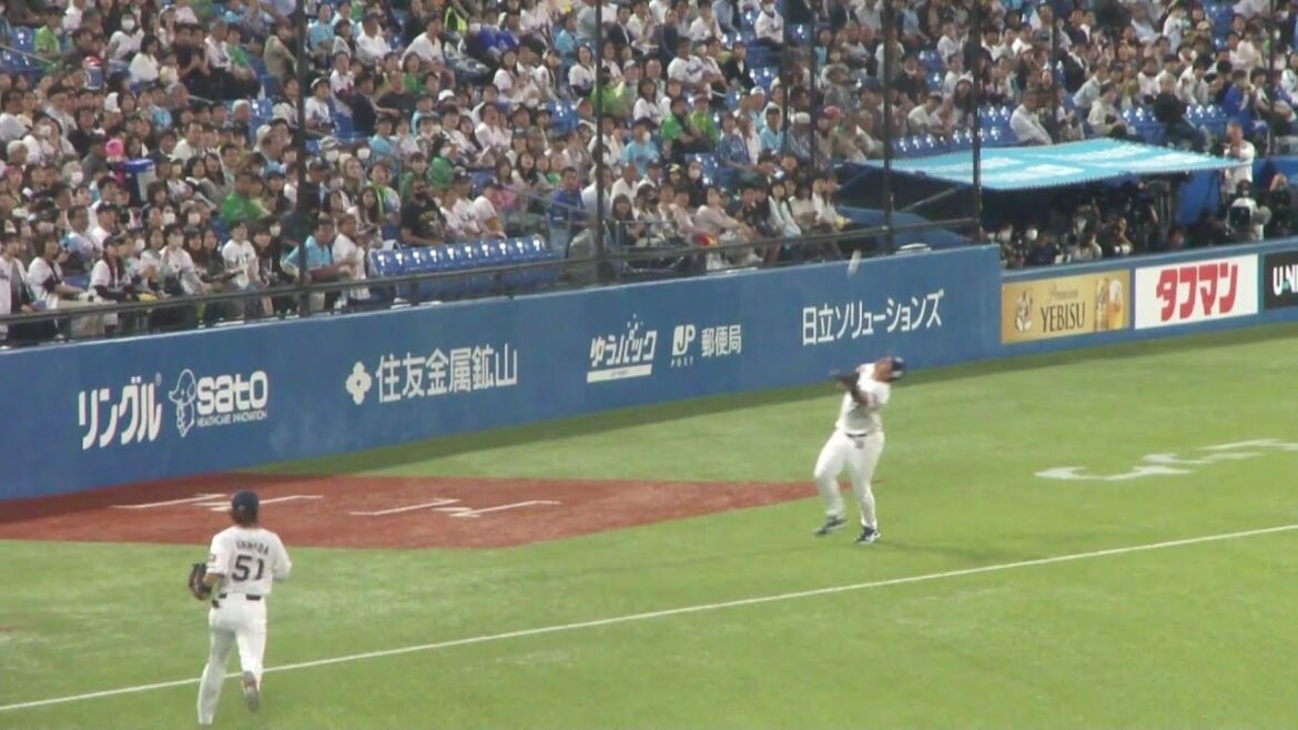 ヤクルト オスナ ナイスプレー　ヤクルト vs DeNA　2024年5月23日(木)