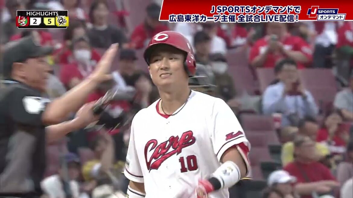 【ハイライト】広島 vs.阪神｜プロ野球2025公式戦(5月30日)#carp