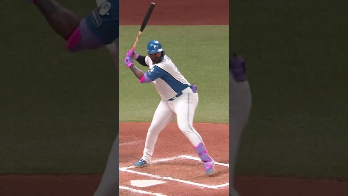 【達２勝目！レイエス・万波同日10号HR到達！】5/30  vs.千葉ロッテマリーンズ ハイライト