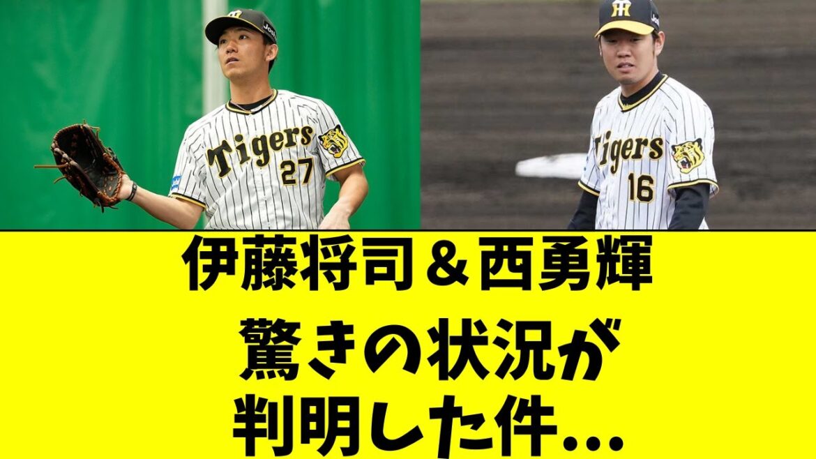 【阪神】伊藤将司＆西勇輝の最新の状況が判明した件・・・