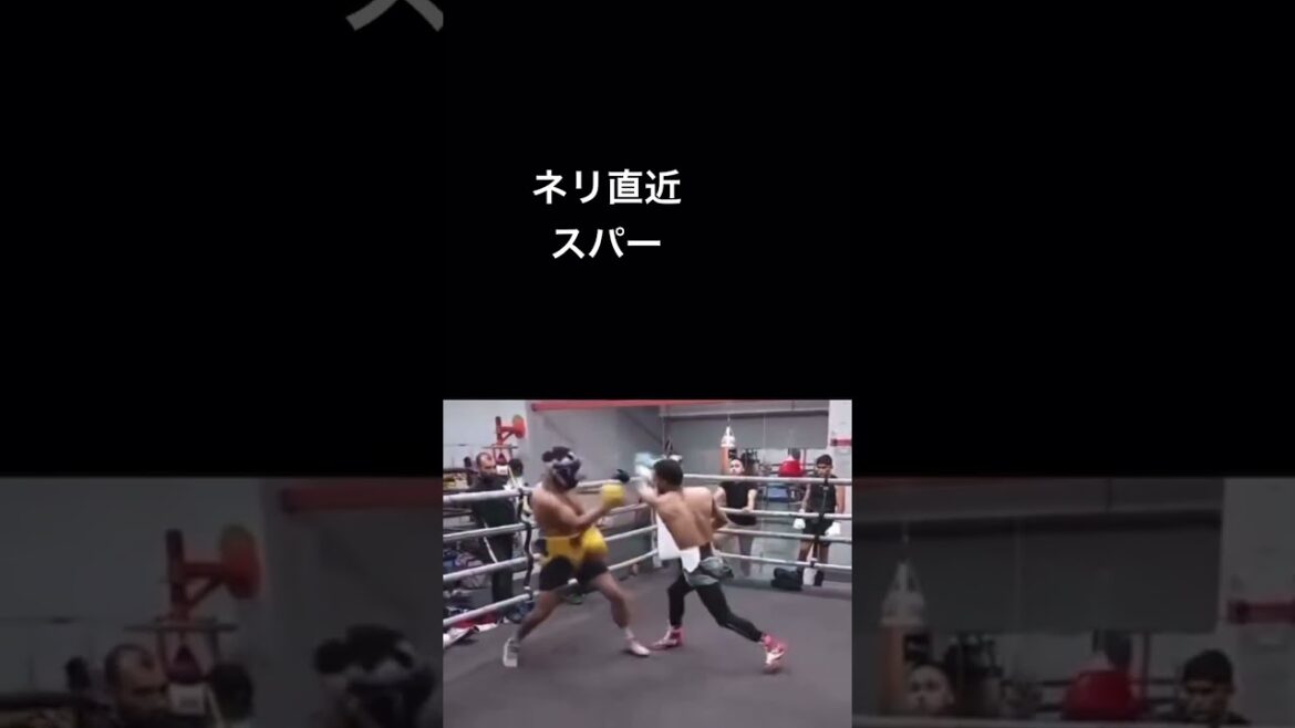 #ネリ#井上尚弥#スパーリング