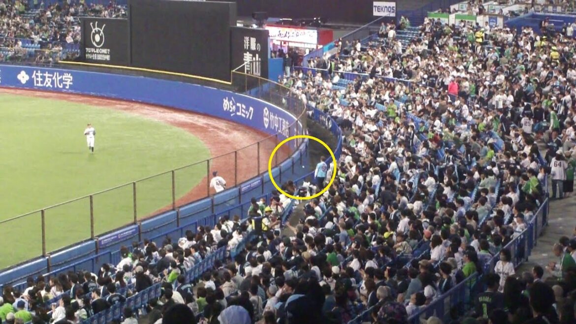 中日 上林誠知 ホームラン 第6号　ヤクルト vs 中日　2025年5月29日(木)　神宮球場