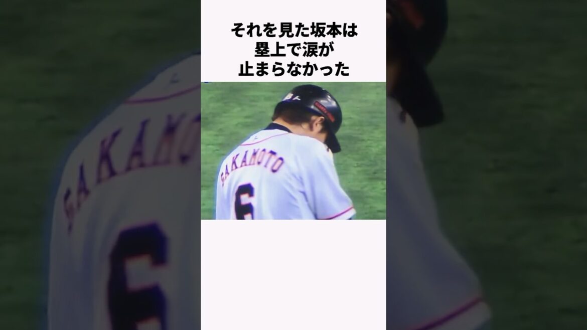「全打席四球を狙った」長野久義に関する雑学　#プロ野球 #野球解説 #読売ジャイアンツ