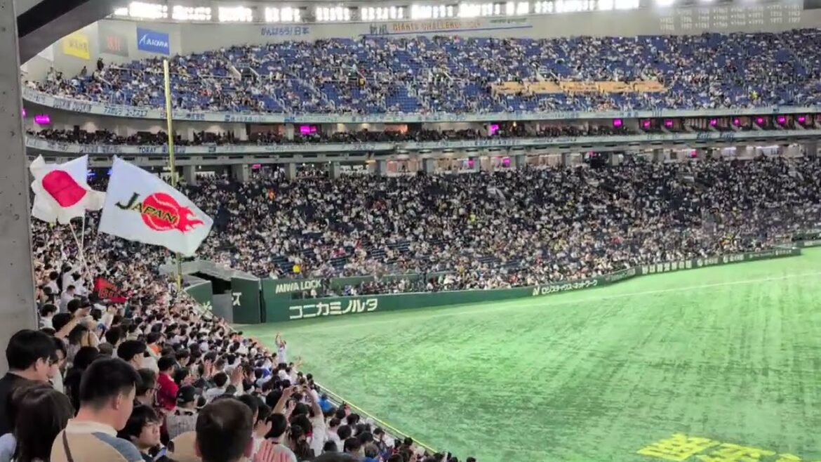 プレミア12 侍ジャパン全選手応援歌(背番号順) 日本代表-台湾代表 東京ドーム 2024/11.23