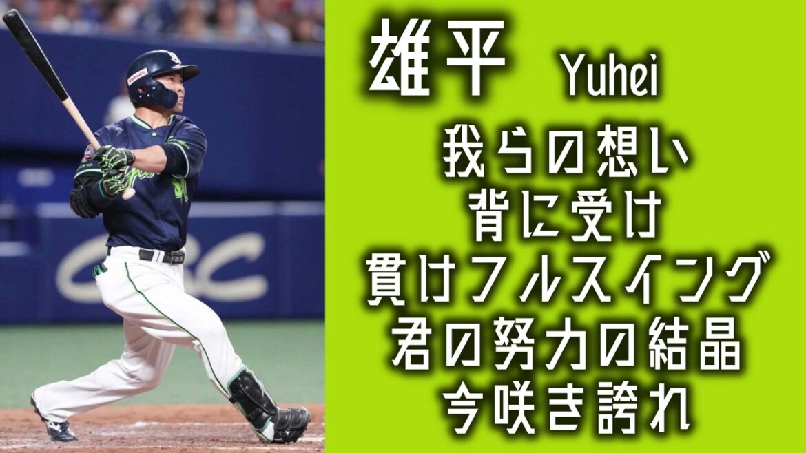 【作業用】雄平応援歌30分耐久【睡眠用】