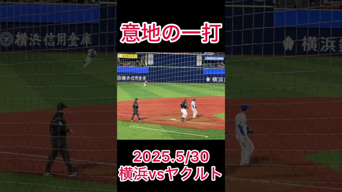 内山壮真 守護神からタイムリー‼︎ #東京ヤクルトスワローズ #プロ野球 #shorts