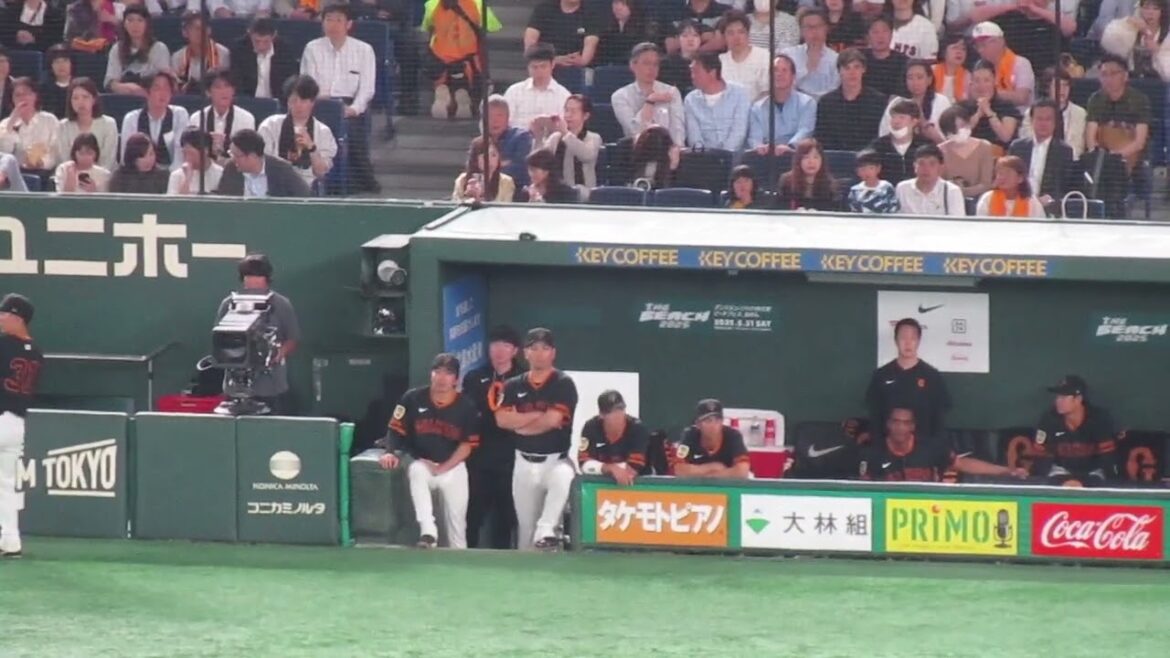 中山礼都に話しかけてるウィーラーなど巨人ベンチの様子（読売ジャイアンツ対 中日ドラゴンズ 2025年5月16日）