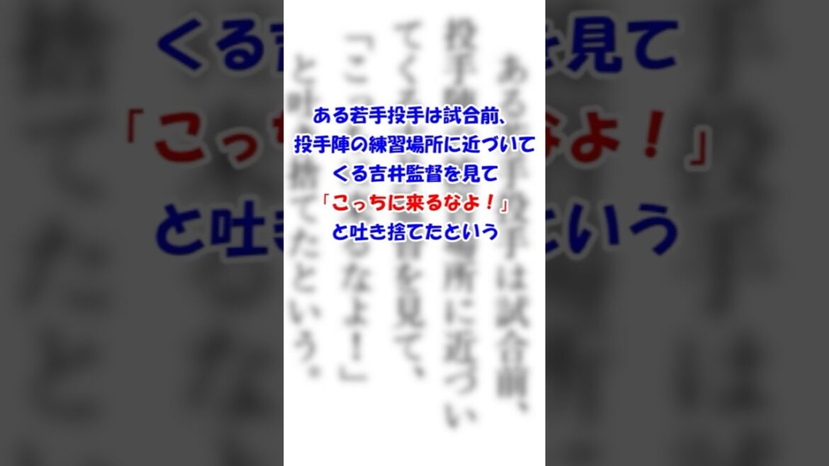 【文春砲】ロッテ吉井監督に「こっちに来るなよ！」と吐き捨てた若手投手 #千葉ロッテマリーンズ #chibalotte #ZOZOマリンスタジアム #吉井理人 #週刊文春 #文春砲