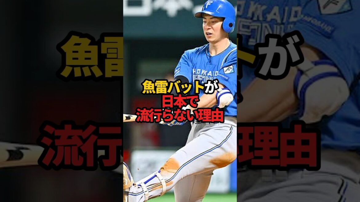 魚雷バットが日本で流行らない理由 #sports #shorts #プロ野球 #野球 #野球 魚雷バットが日本で流行らない理由 #sports #shorts #プロ野球 #野球 #野球