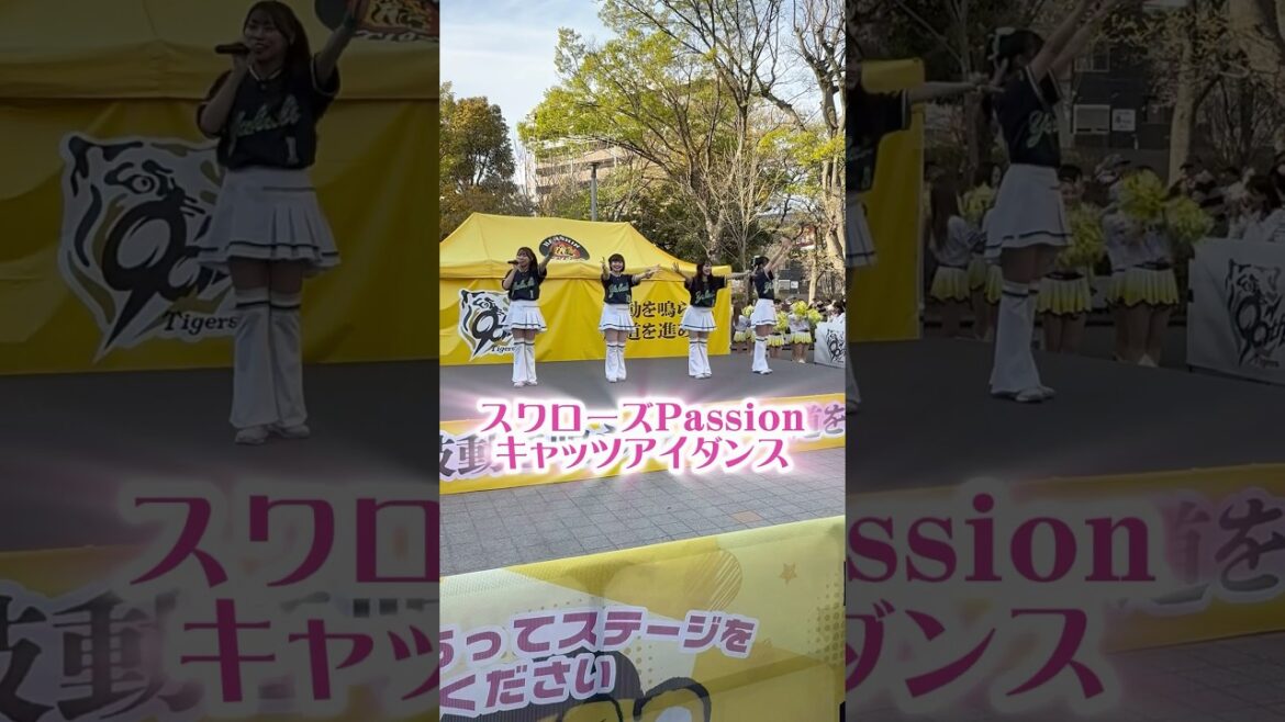 スワローズPassion #ヤクルトスワローズ #東京ヤクルトスワローズ #スワローズ #passion #勝利をいただくキャッツアイダンス #キャッツアイ #チアリーダー #甲子園 #ダンス