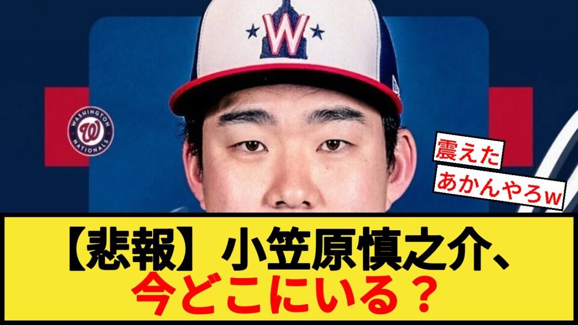 【悲報】小笠原慎之介、今どこにいる？