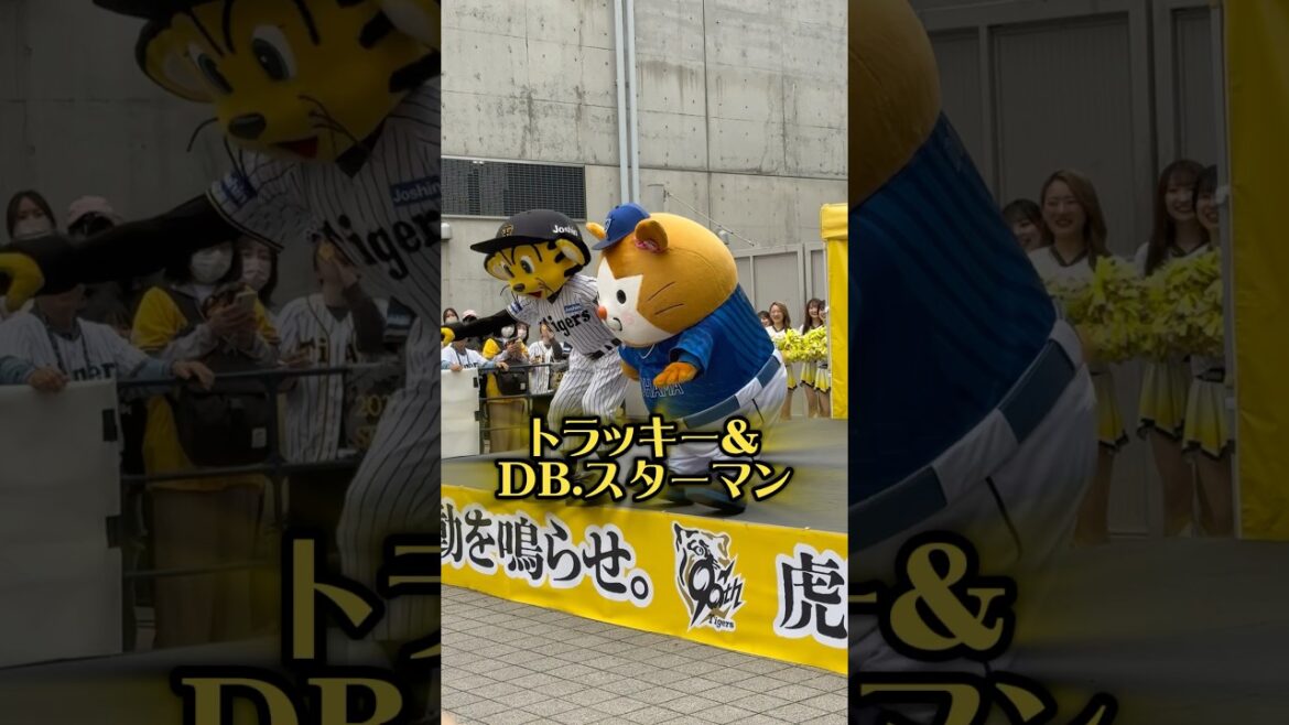 トラッキーとスターマン25/5/29甲子園 #阪神タイガース #阪神 #プロ野球 #阪神ファン #横浜 #横浜denaベイスターズ #ベイスターズ #dena #トラッキー #スターマン #甲子園 トラッキーとスターマン25/5/29甲子園 #阪神タイガース #阪神 #プロ野球 #阪神ファン #横浜 #横浜denaベイスターズ #ベイスターズ #dena #トラッキー #スターマン #甲子園