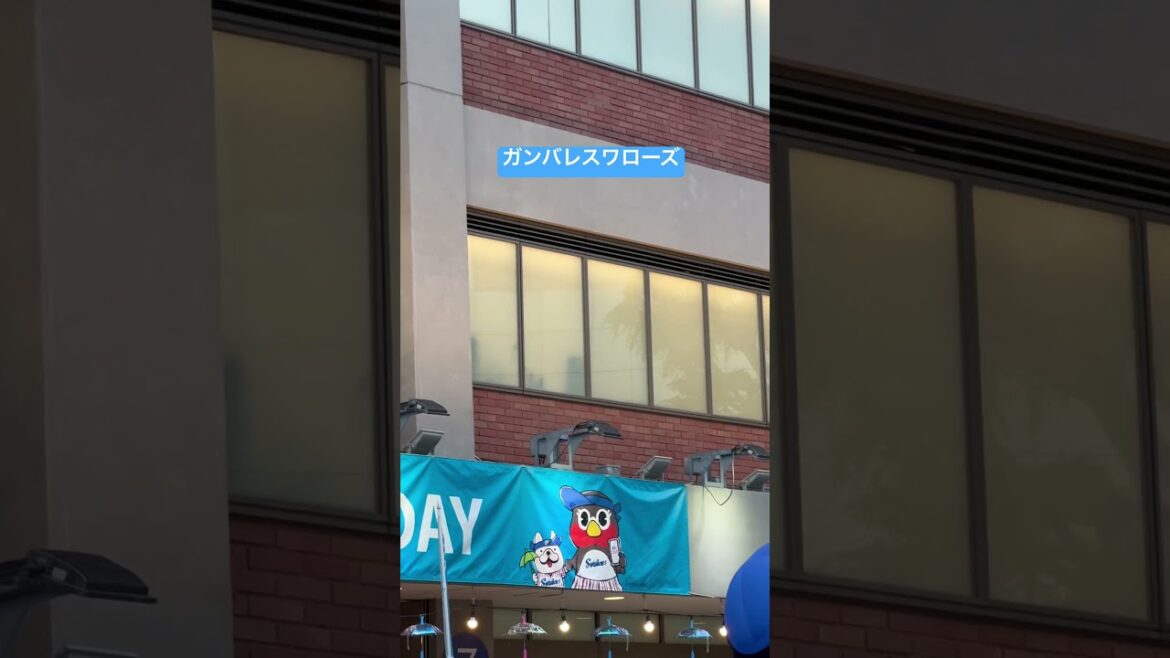 空を見上げて。ガンバレヤクルトスワローズ！