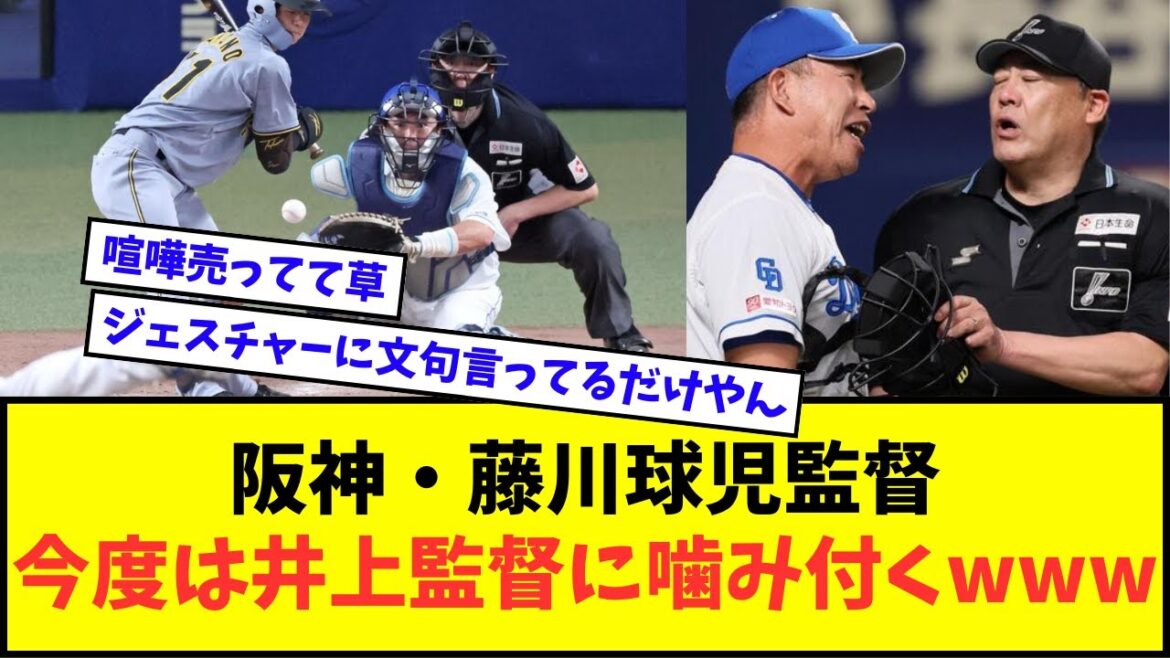 阪神・藤川球児監督、今度は井上監督に噛み付くwwwww【なんJ反応】【プロ野球反応集】