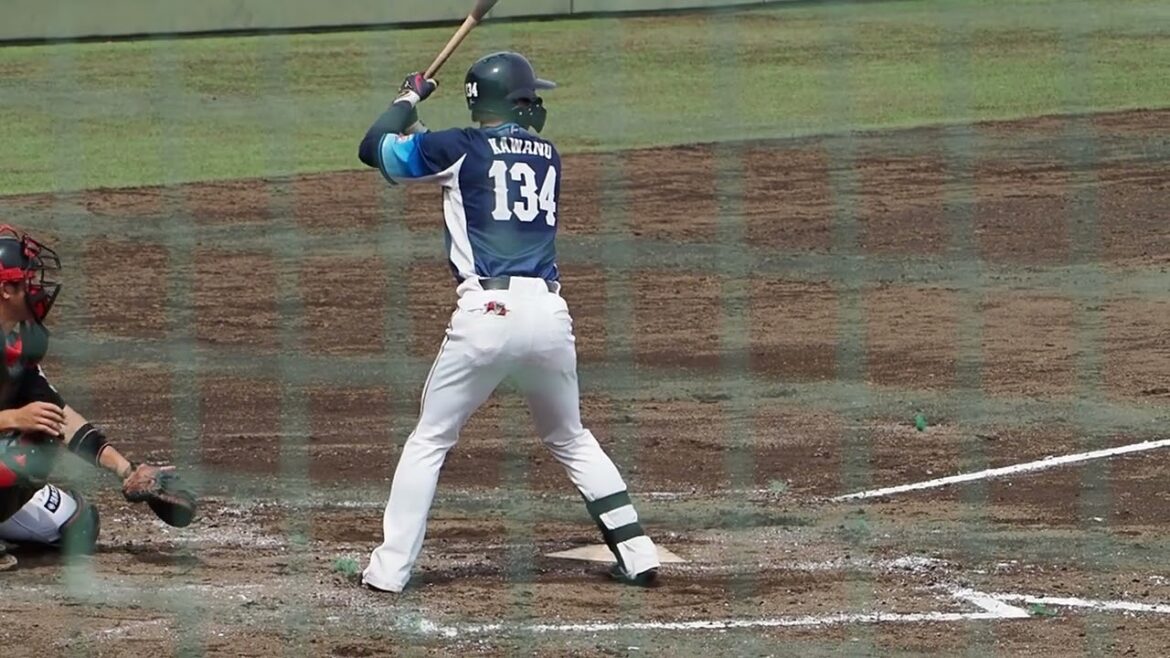 2025.05.18 栃木-埼玉西武 #川野涼太 打席シーン (エイジェック)