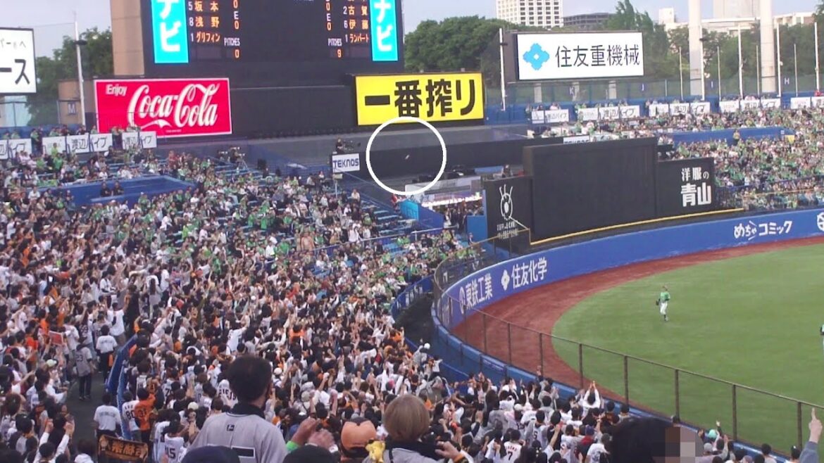 巨人 若林楽人 先制ホームラン 第3号　ヤクルト vs 巨人　2025年5月10日(土)　神宮球場