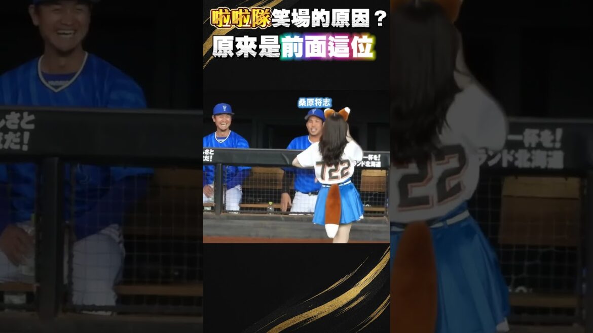 狐狸舞太鬧！連啦啦隊都笑到破防🤣