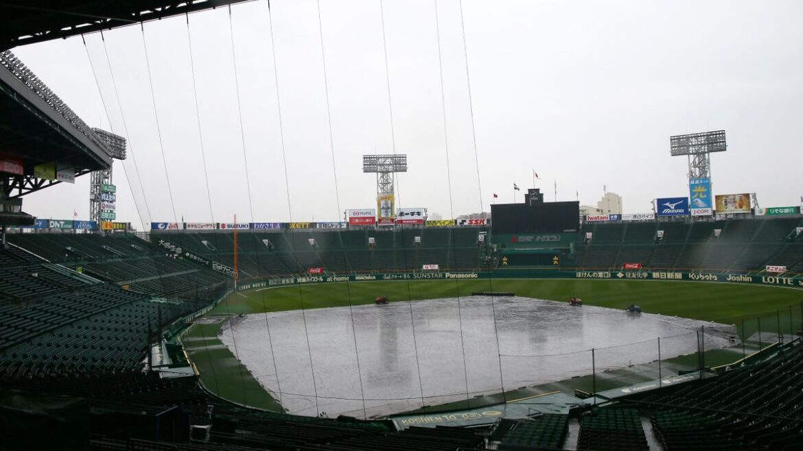 日本テレビ放送網