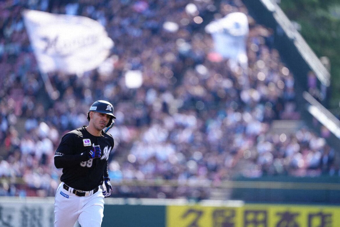 ロッテ 山本大斗の2号ソロ＆ソト24試合ぶり4号ソロ 吉井監督「ソトは期待」「山本は…」（スポニチアネックス） - Yahoo!ニュース - Yahoo!ニュース