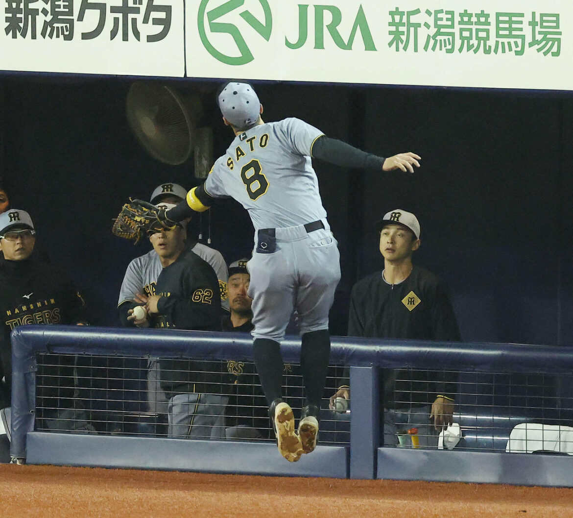 DeNA対阪神　6回裏DeNA2死、三森の邪飛を捕球する佐藤輝（撮影・河田真司）