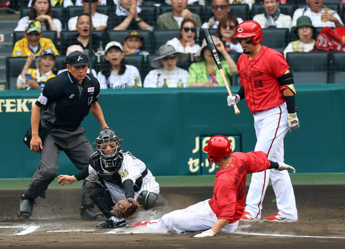 広島 中村奨成がホームスチール敢行も…間一髪でアウト ベンチの新井監督は拍手 甲子園のスタンドがどよめく(デイリースポーツ) – Yahoo!ニュース – Yahoo!ニュース 広島 中村奨成がホームスチール敢行も…間一髪でアウト ベンチの新井監督は拍手 甲子園のスタンドがどよめく(デイリースポーツ) - Yahoo!ニュース - Yahoo!ニュース