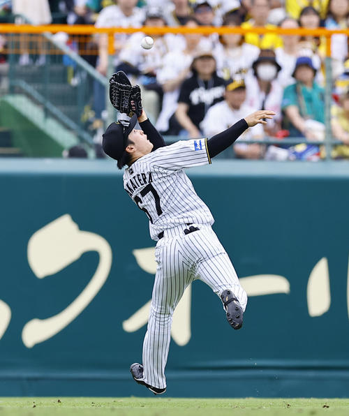 【阪神】光る守備センス!春まで外野は「素人」高寺望夢、甲子園の左翼で生き生きランニング好捕 – nikkansports.com 阪神対広島 5回表広島1死一塁、矢野の左飛を好捕する高寺(撮影・藤尾明華)