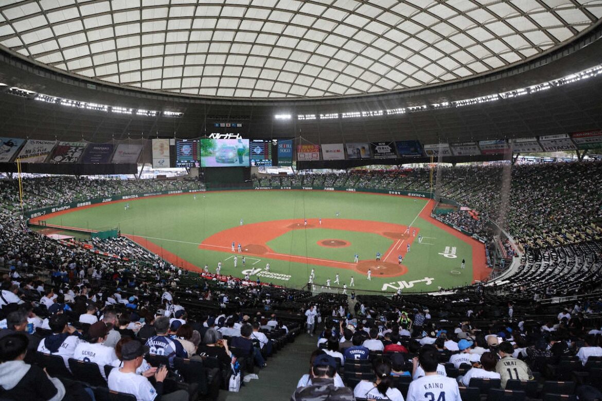 西武「ライオンズ夏祭り」7・12、13開催 入場無料でランタンの打ち上げや縁日などイベント実施（スポニチアネックス） - Yahoo!ニュース - Yahoo!ニュース