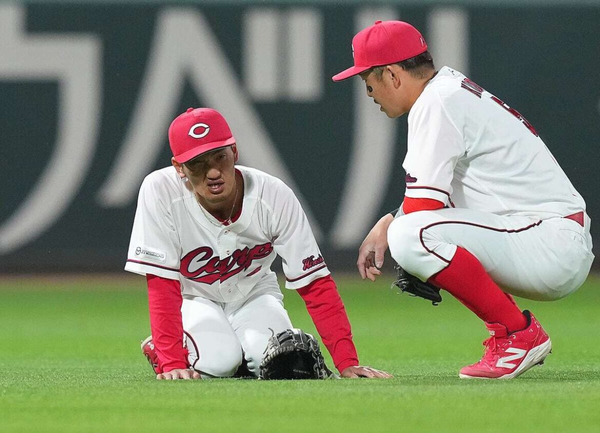 広島、ファビアンと矢野が飛球追って衝突 両者プレー続行も勝ち越しを許す（サンケイスポーツ） - Yahoo!ニュース - Yahoo!ニュース