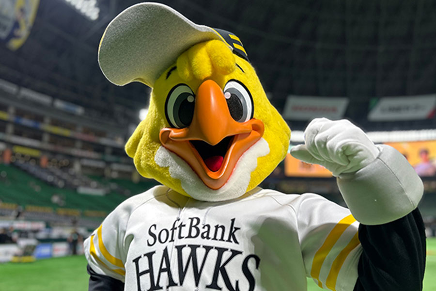 ソフトバンクのマスコットのハリーホーク【写真提供：(c)  SoftBank HAWKS】