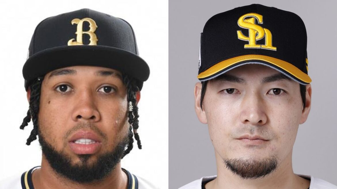 日本テレビ放送網