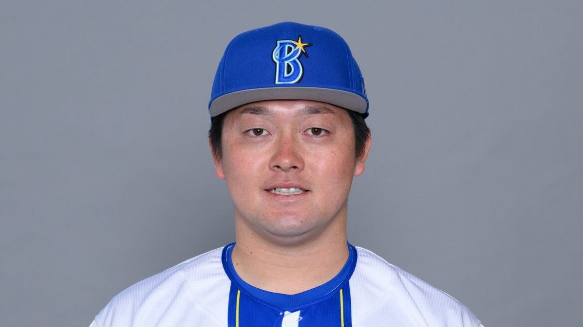 日本テレビ放送網