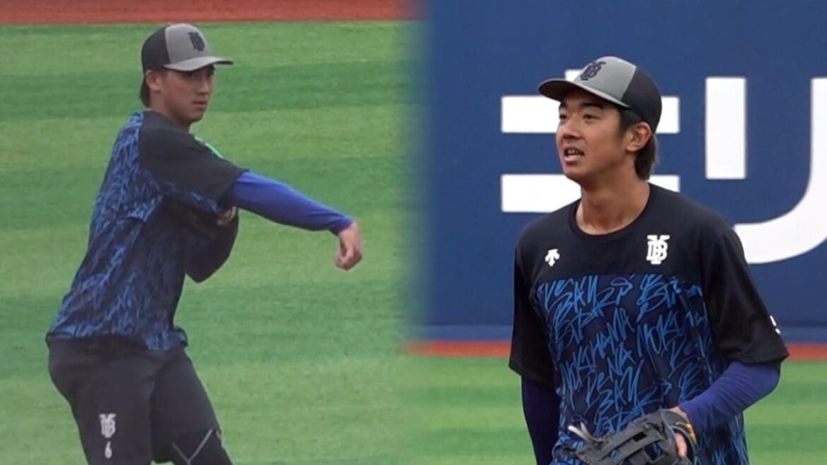 日本テレビ放送網