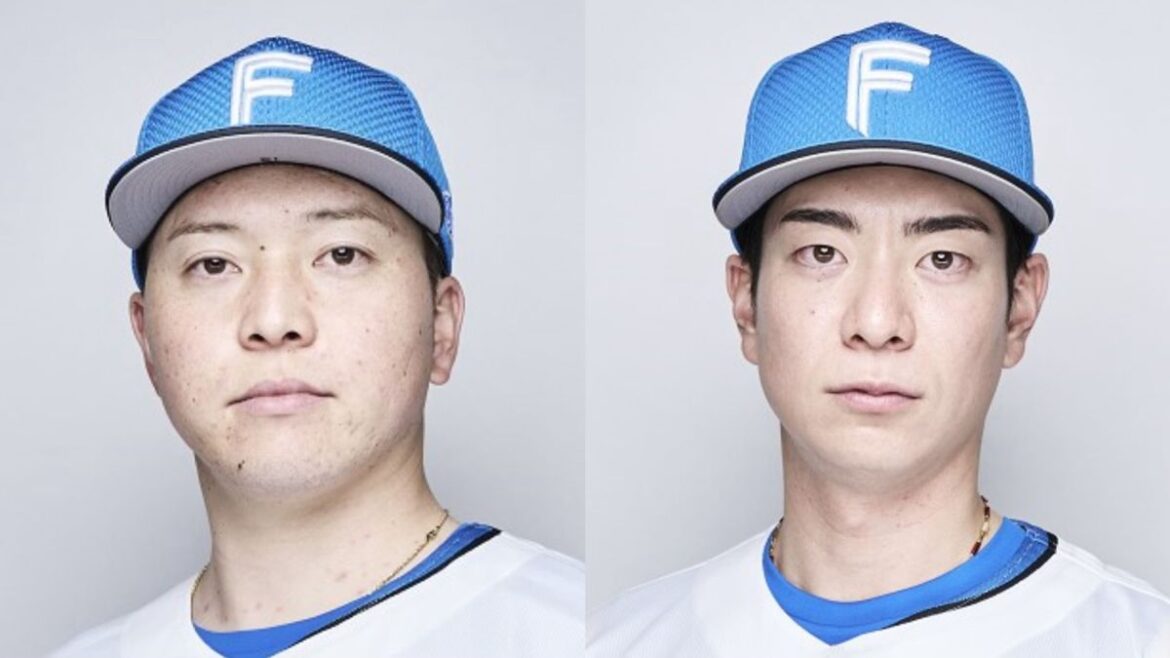 日本テレビ放送網