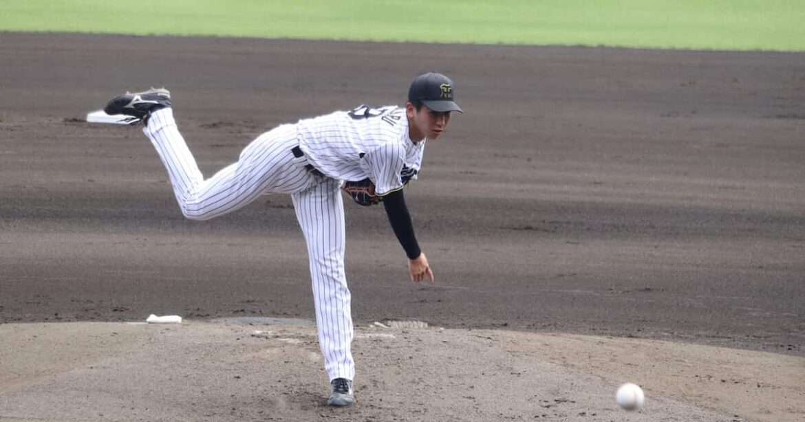 阪神・今朝丸裕喜がプロ初先発で3回無失点 最速145キロで2三振の好投 – サンスポ 阪神・今朝丸裕喜がプロ初先発で3回無失点 最速145キロで2三振の好投 - サンスポ