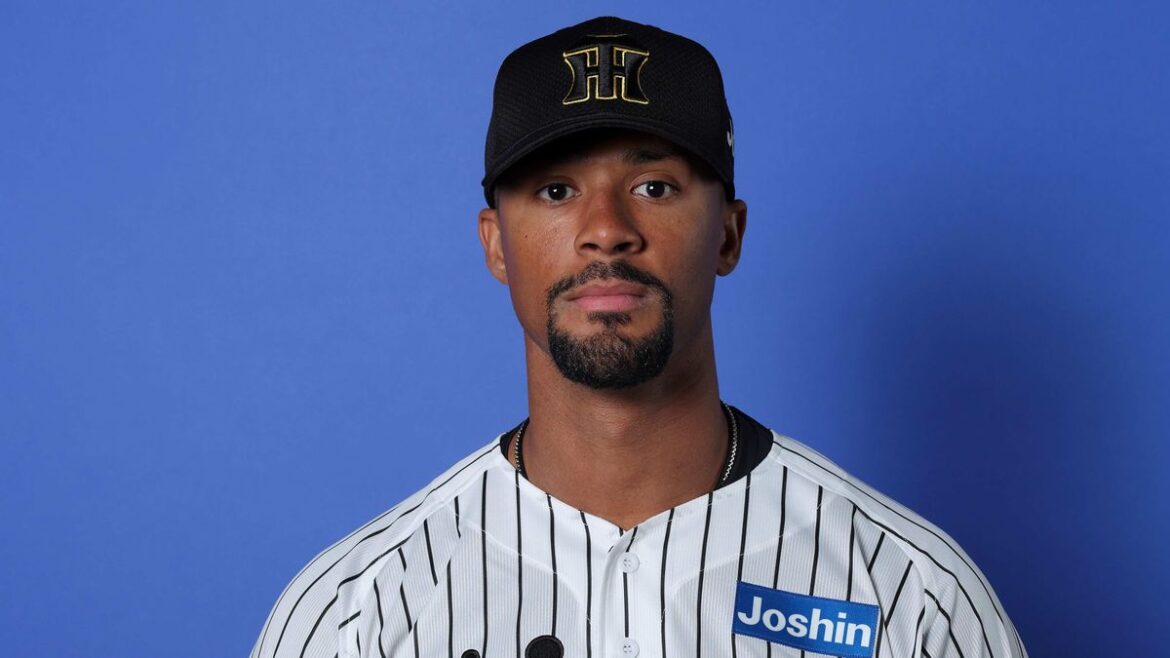 【阪神】デュプランティエが最少失点で切り抜ける 直後に5番大山悠輔が逆転2ランホームラン|日テレNEWS NNN – 日テレNEWS NNN 日本テレビ放送網