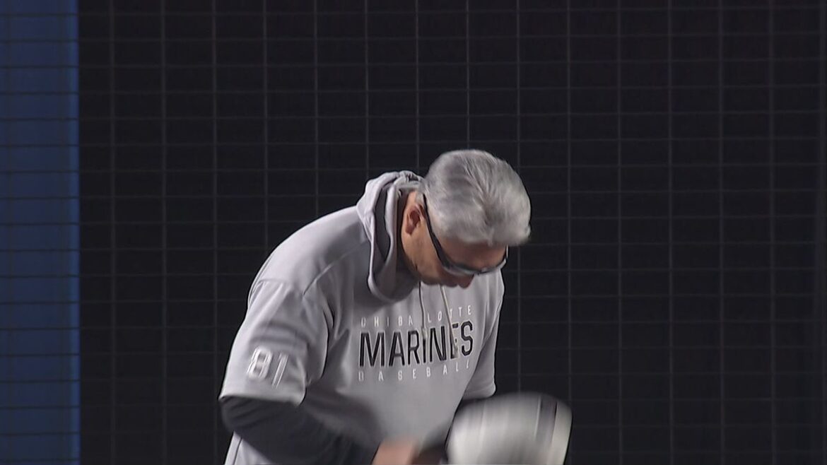 日本テレビ放送網