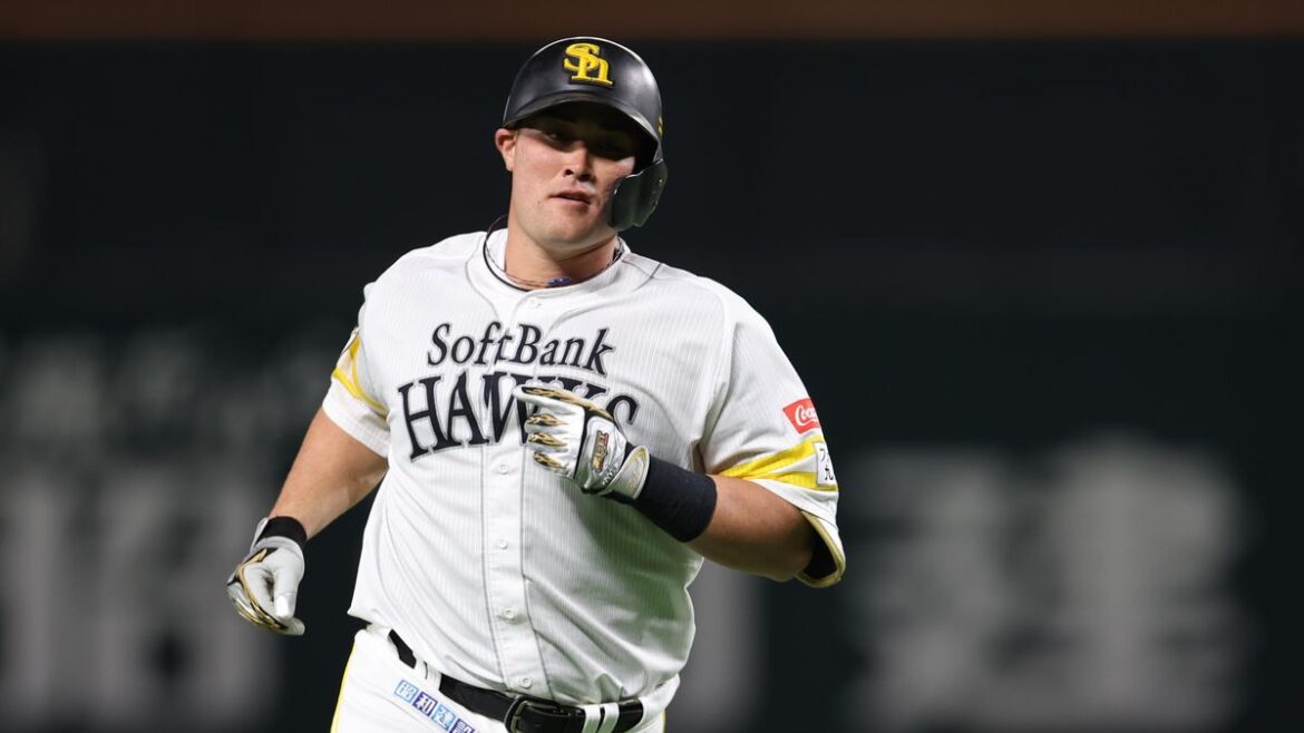 日本テレビ放送網