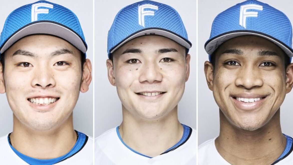 日本テレビ放送網