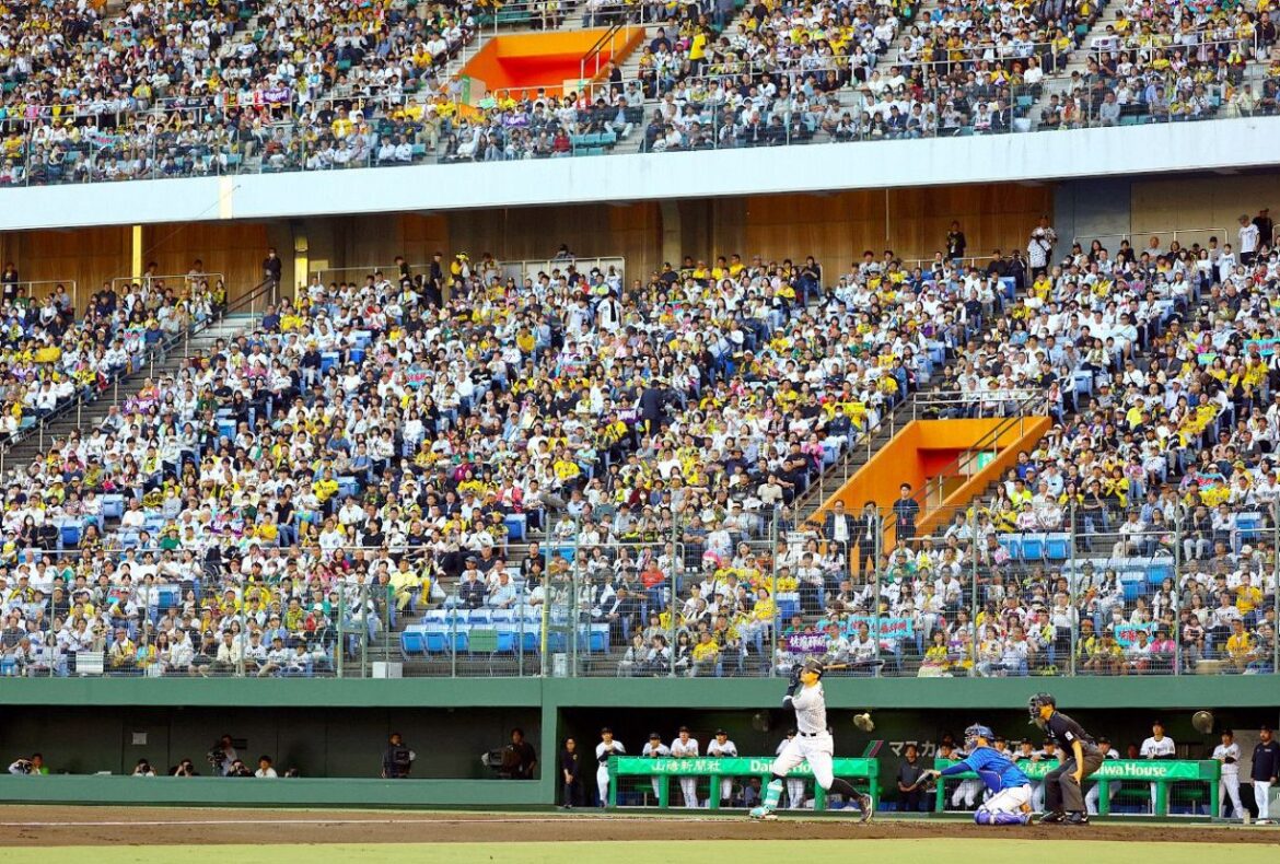 ３万人を超える観客が詰めかけた阪神―ＤｅＮＡ戦＝倉敷マスカット