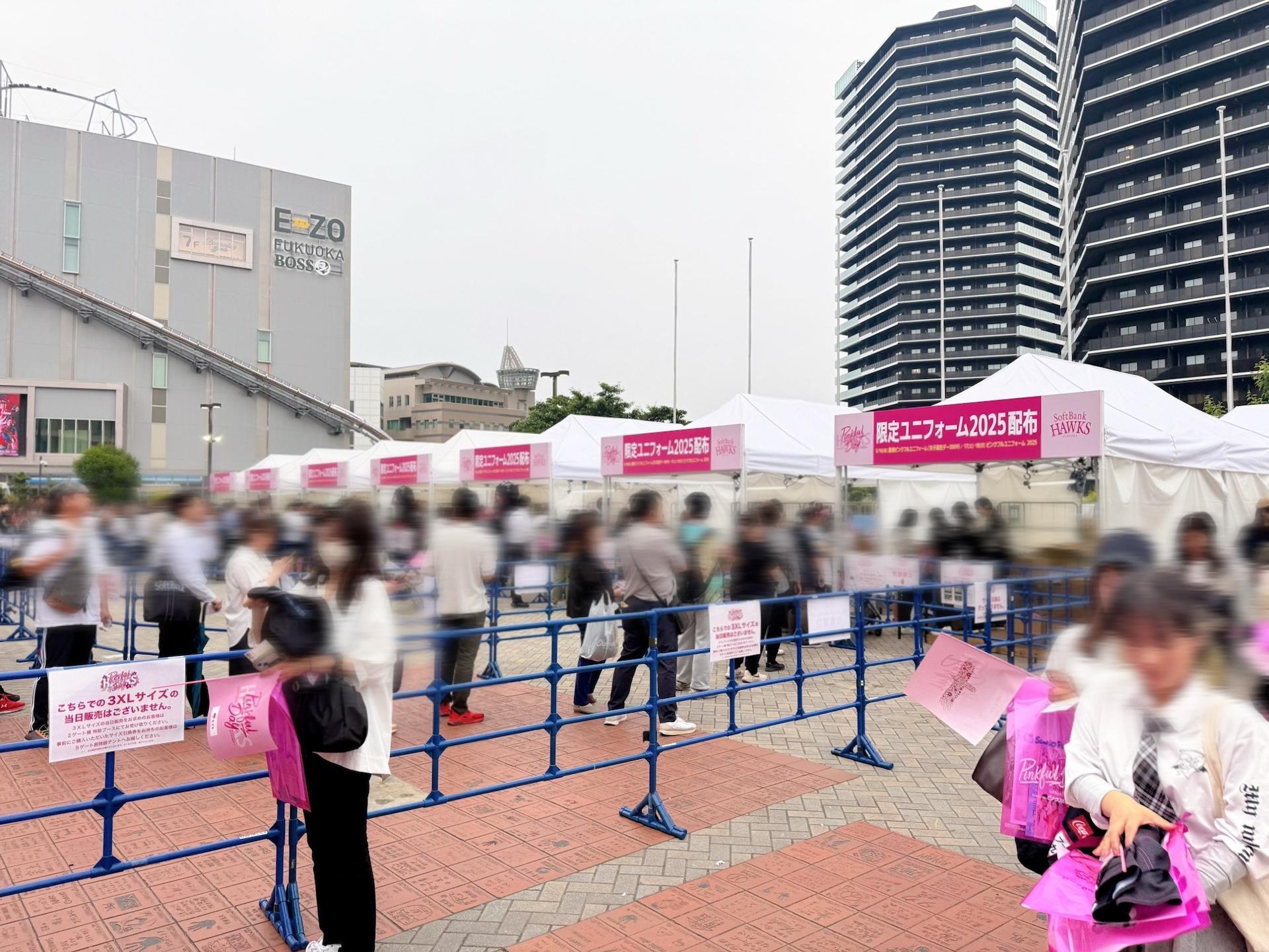 画像：博多あや.