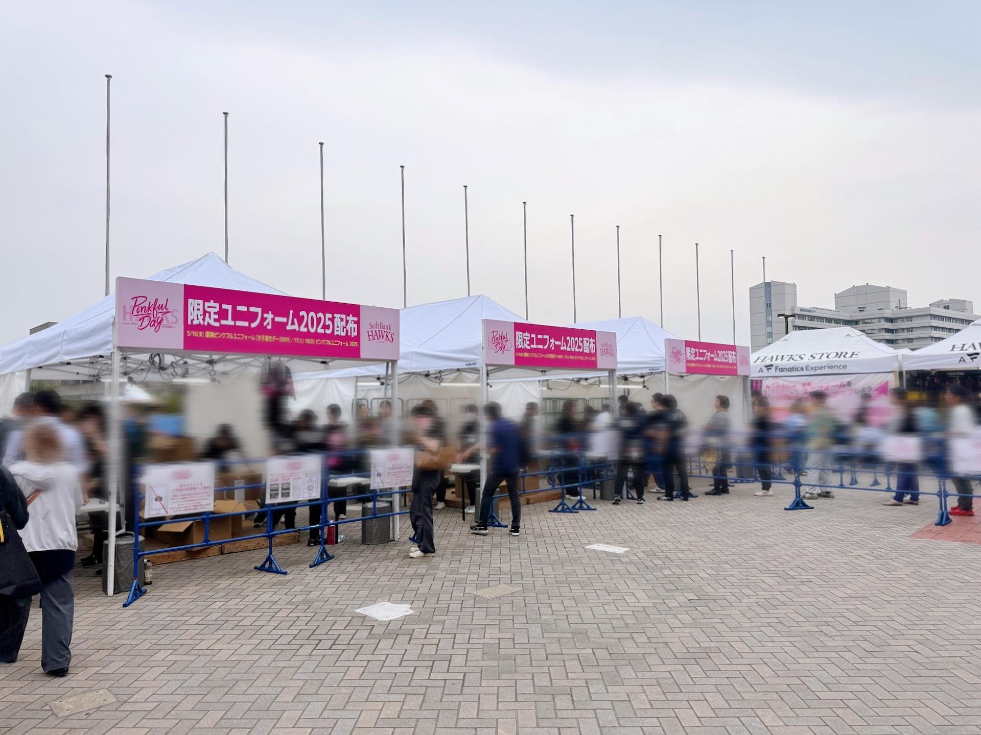 画像：博多あや.